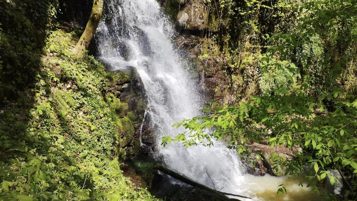 В Лянкяране из водопада извлекли тело утонувшего мужчины