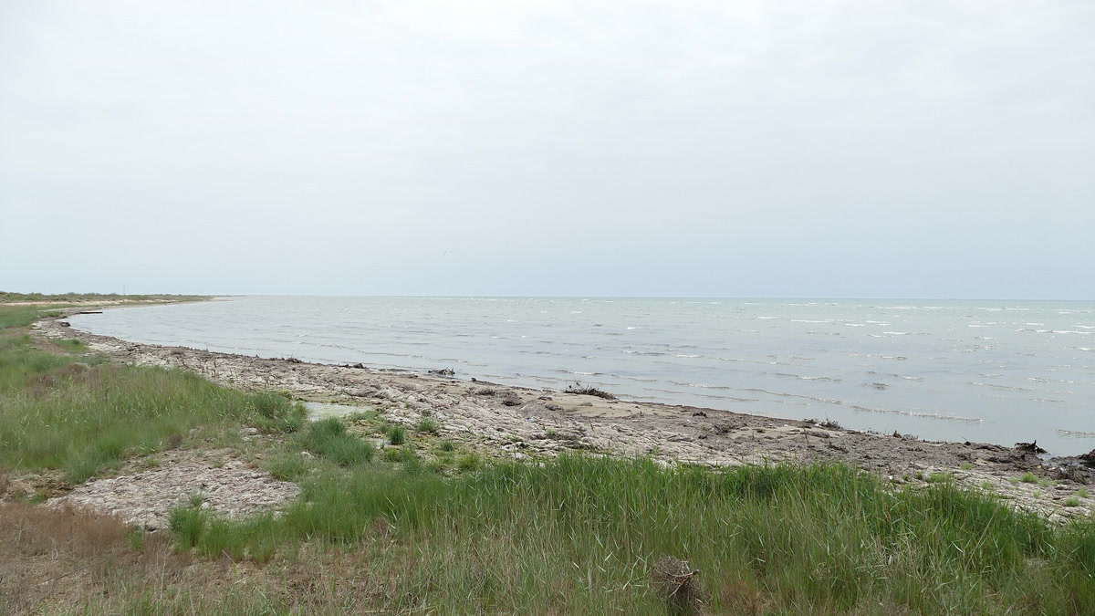 В Шувеляне мужчина утонул во время купания в море