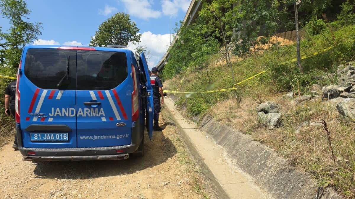 В Турции известный врач Эркут Карача погиб после падения с моста