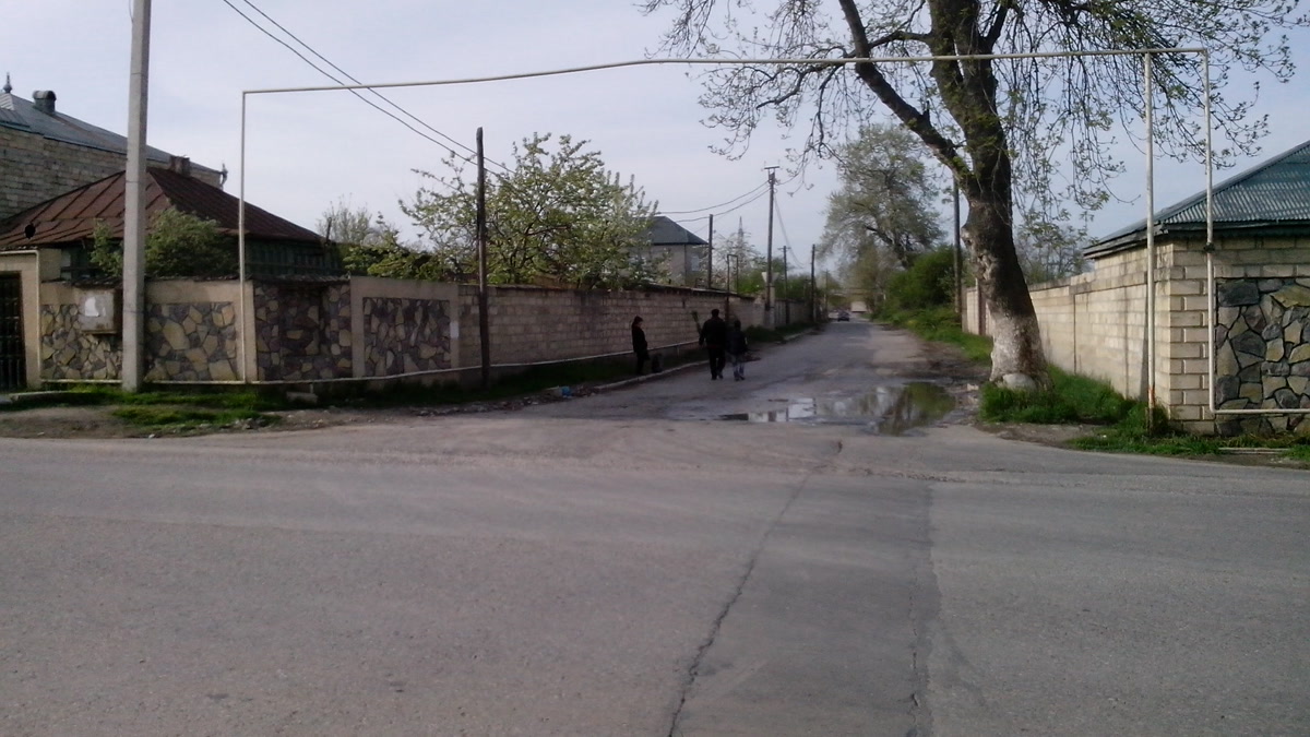 В Губинском районе Алексеевку и Владимировку переименовали в Чинарлы и Эльбир
